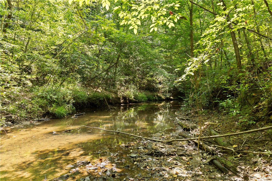 3 Cobb Bridge Road Westminster, SC 29693 - Photo 2 of 9