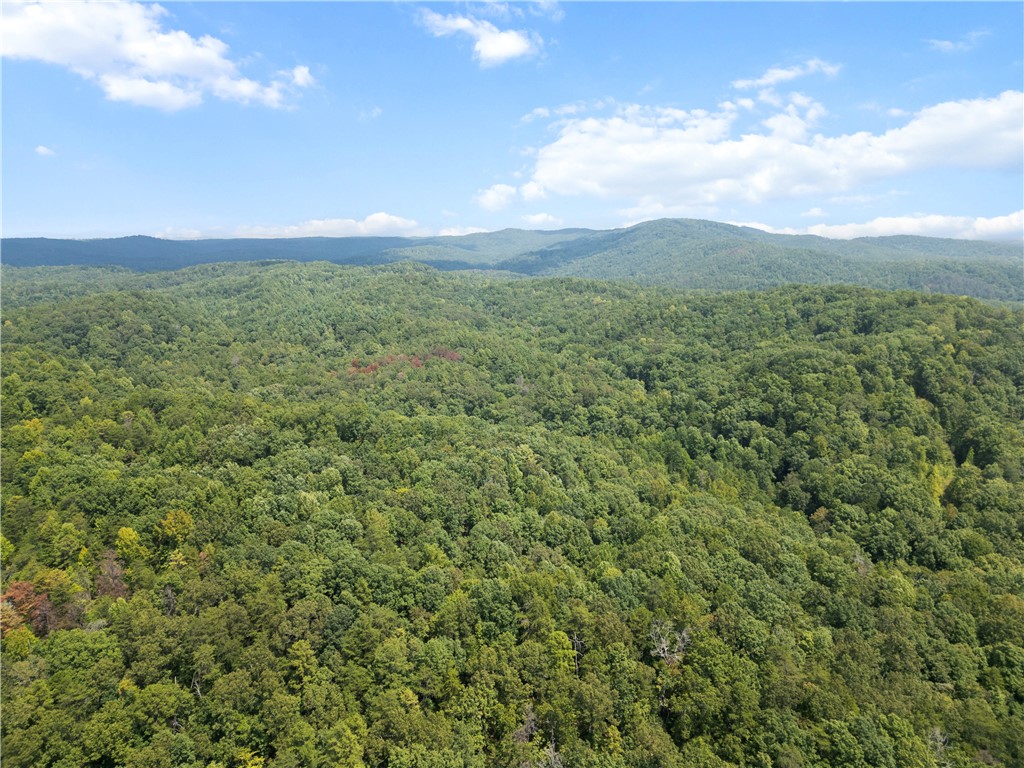 3 Cobb Bridge Road Westminster, SC 29693 - Photo 3 of 9