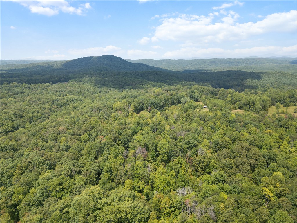 3 Cobb Bridge Road Westminster, SC 29693 - Photo 4 of 9