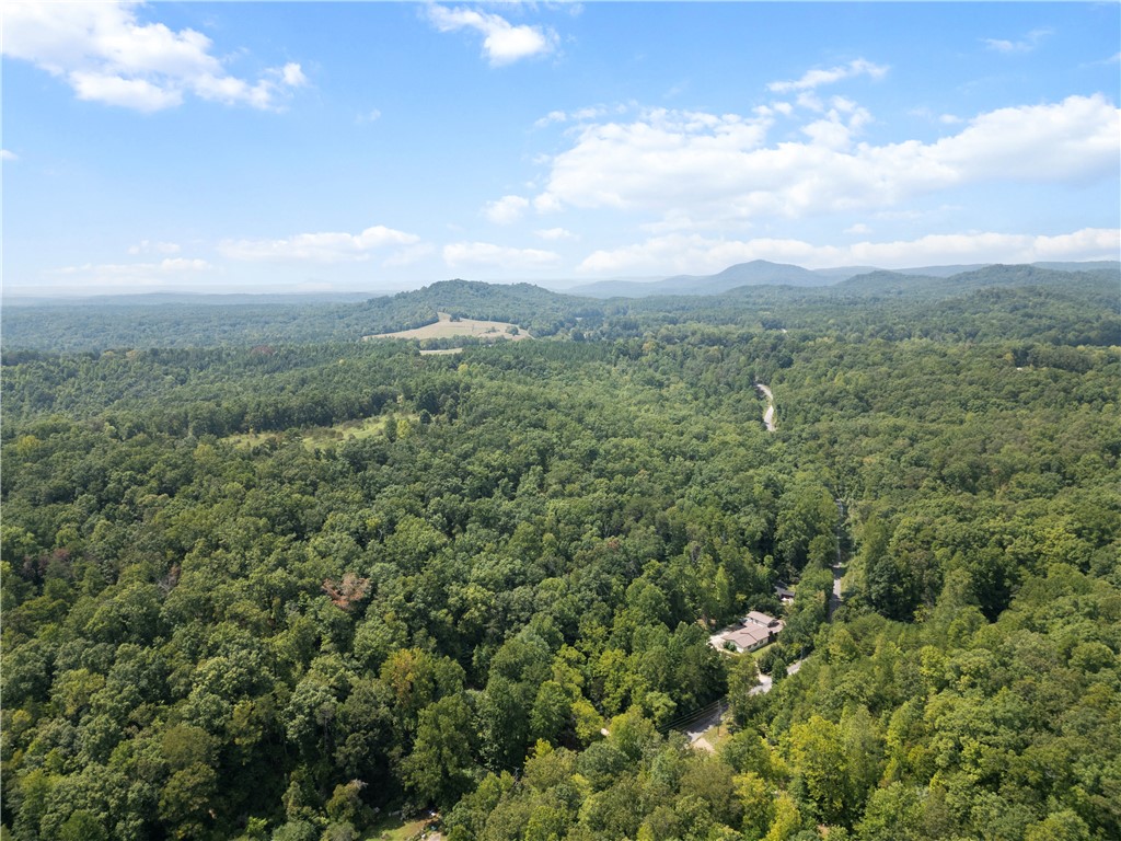 3 Cobb Bridge Road Westminster, SC 29693 - Photo 5 of 9