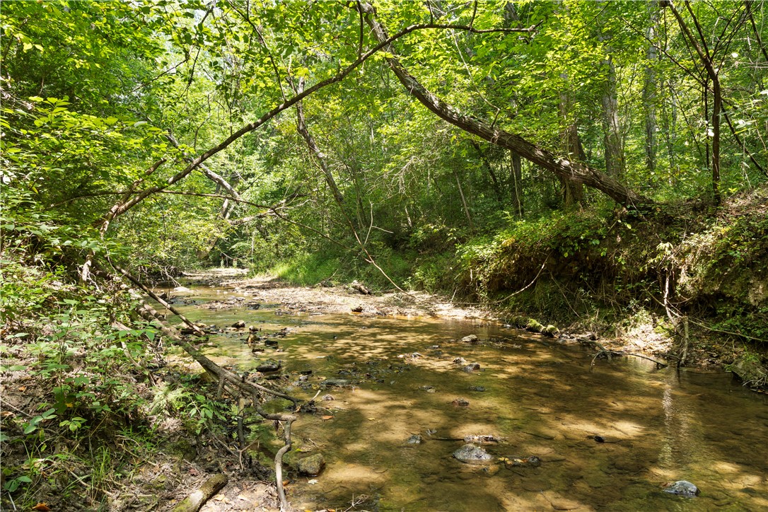 3 Cobb Bridge Road Westminster, SC 29693 - Photo 8 of 9