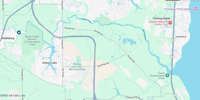 a view of a trees in a yard