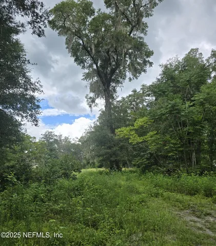 $175,000 | 0 Main Street, Middleburg, FL 32068