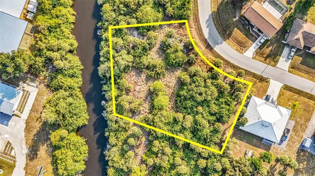 a view of a yard with plants