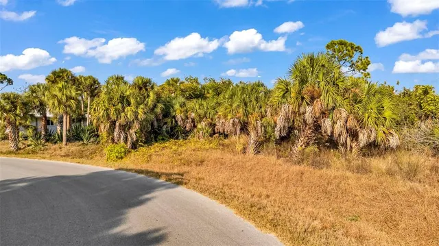 a view of back yard of the house