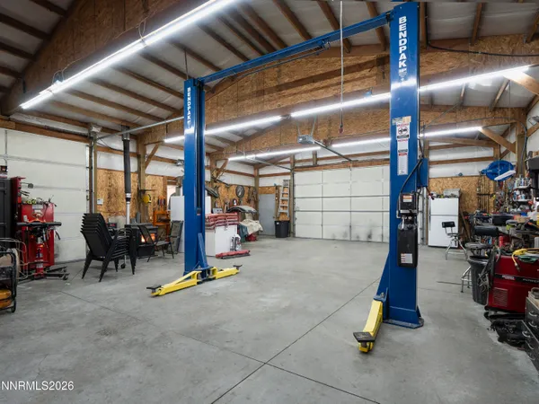 a view of dirt yard with a large tree