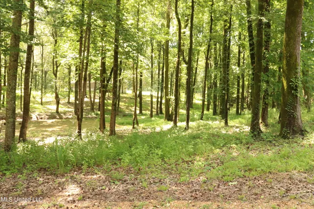 $249,900 | 100 Green Road, Coldwater, MS 38618