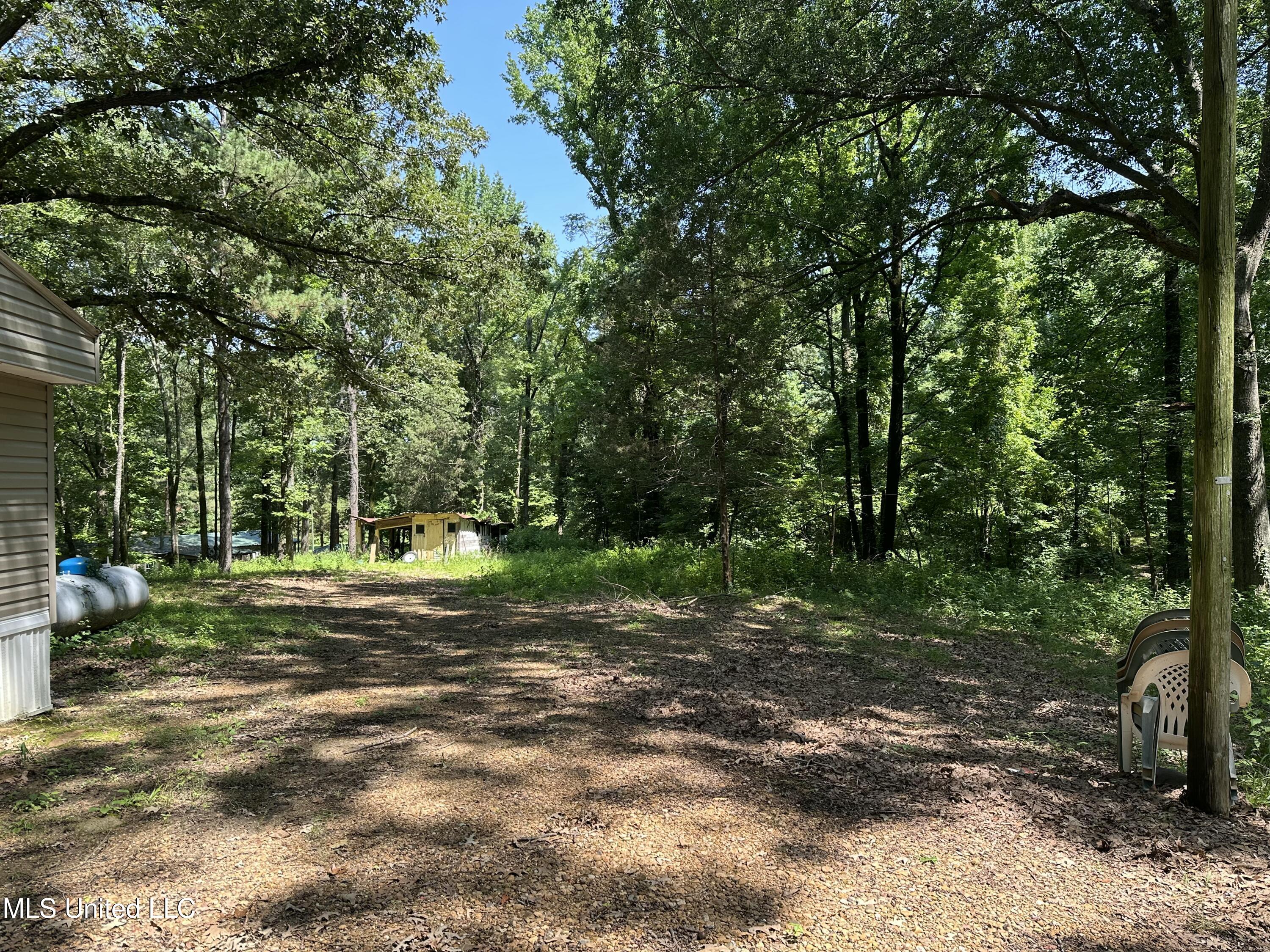 100 Green Road Coldwater, MS 38618 - Photo 54 of 57 IMG_5442