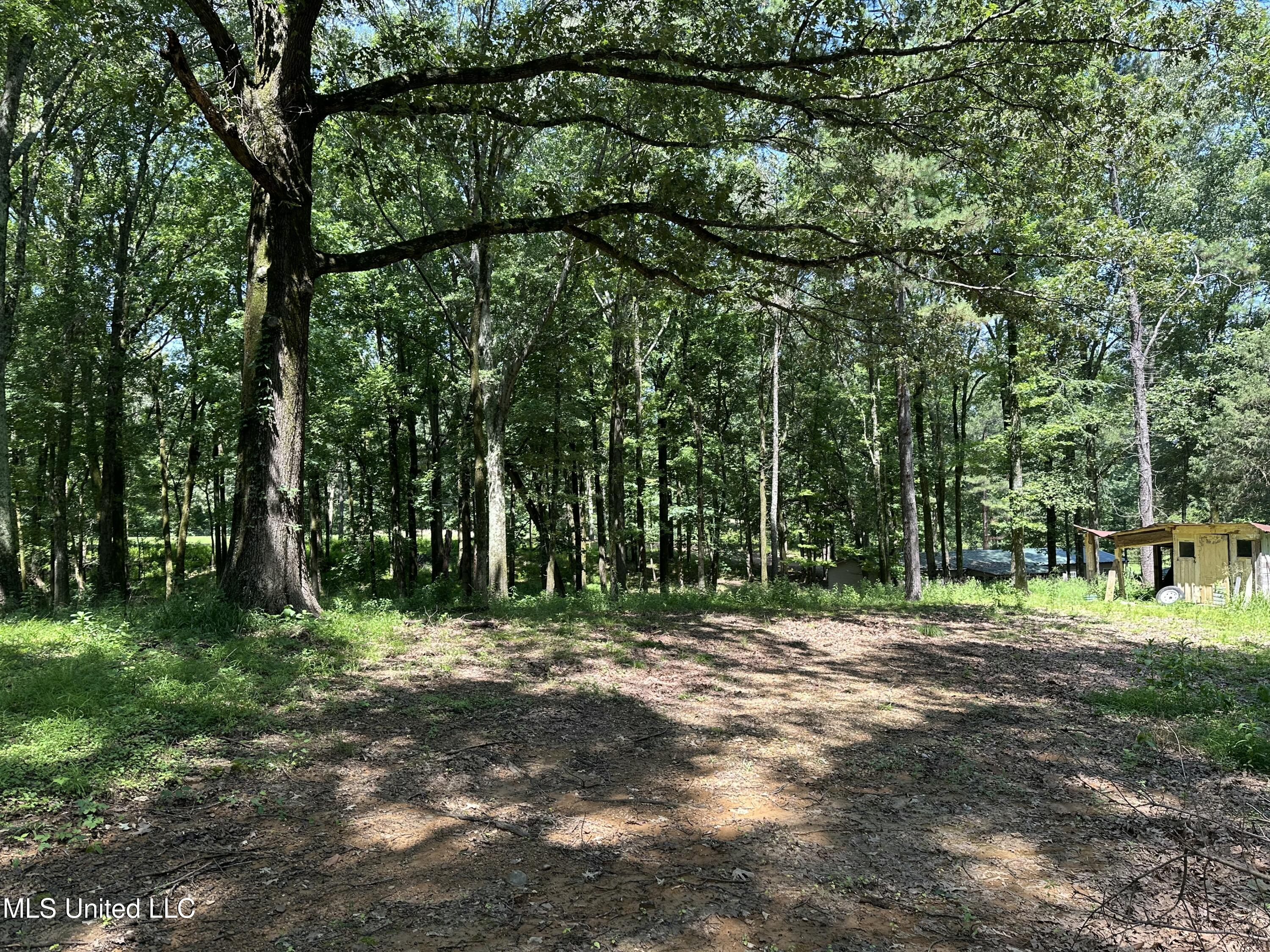 100 Green Road Coldwater, MS 38618 - Photo 56 of 57 IMG_5444