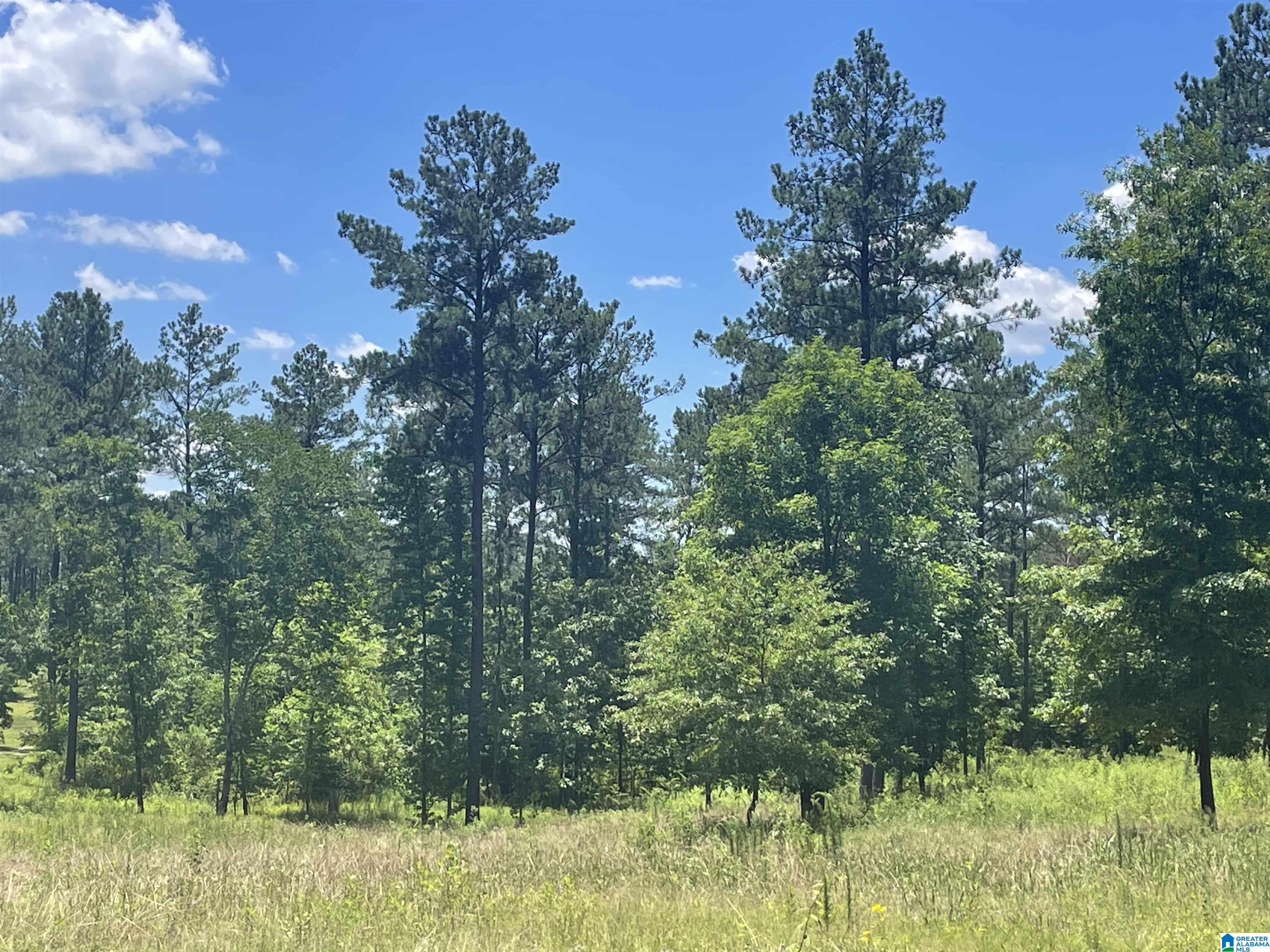 0 Chelsea Farms Road, Unit 24 Chelsea, AL 35043 - Photo 30 of 37