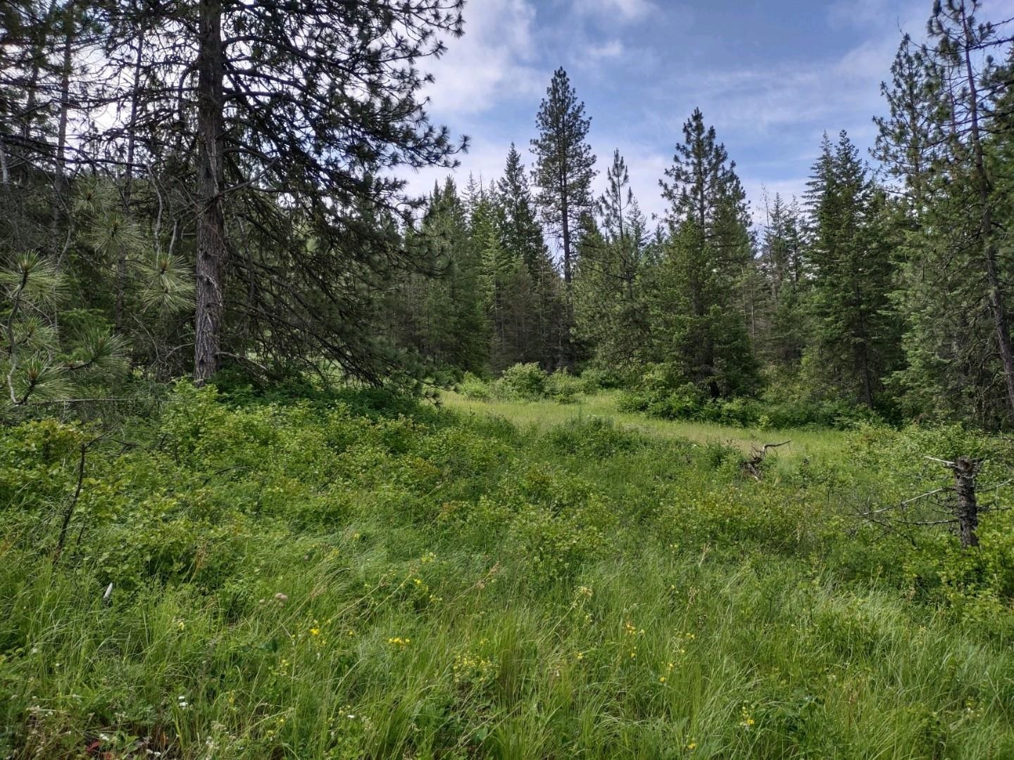 Xx Gardenspot Road Loon Lake, WA 99148 - Photo 1 of 6 Gallery Image 1