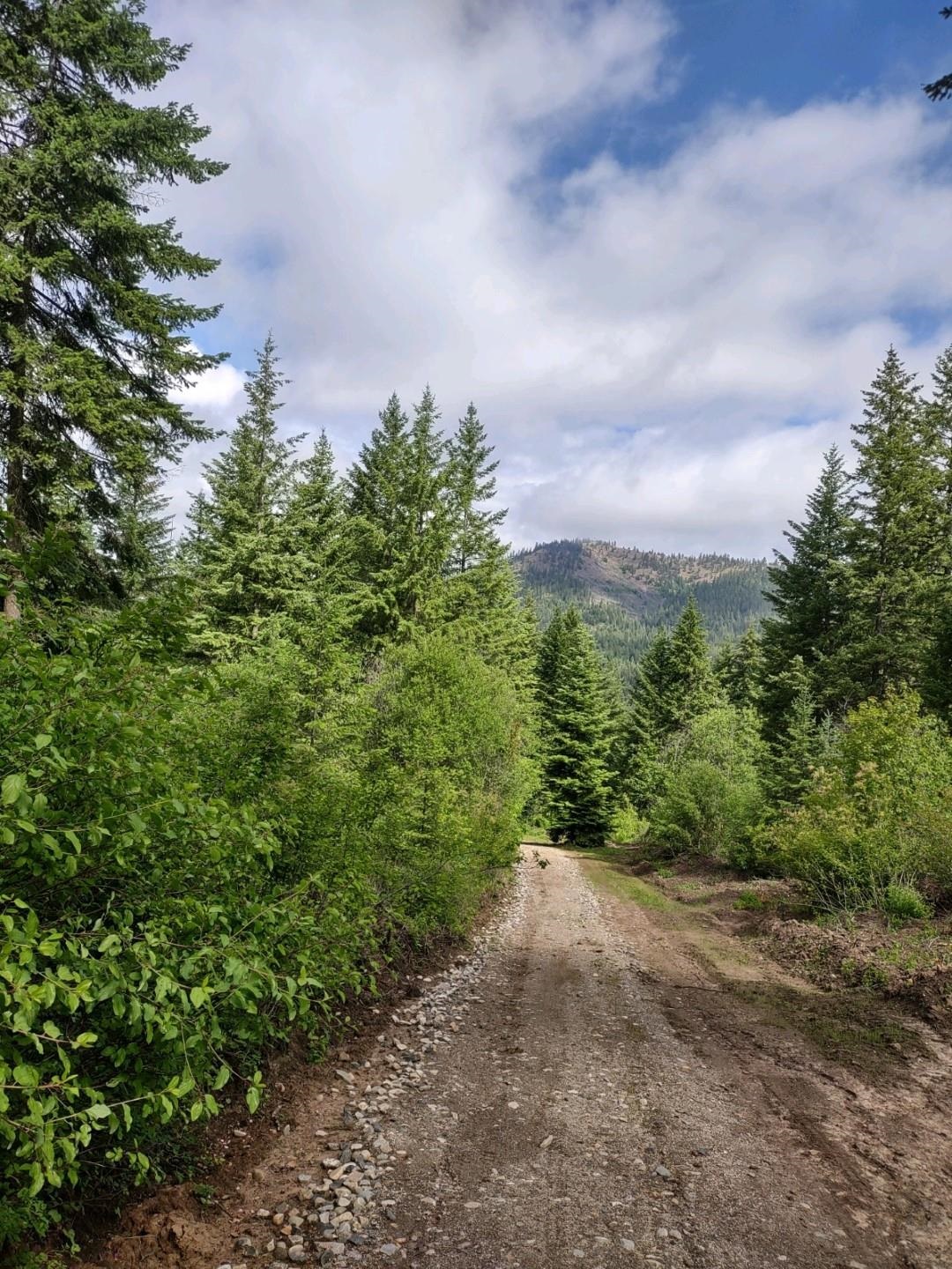 Xx Gardenspot Road Loon Lake, WA 99148 - Photo 2 of 6 Gallery Image 2