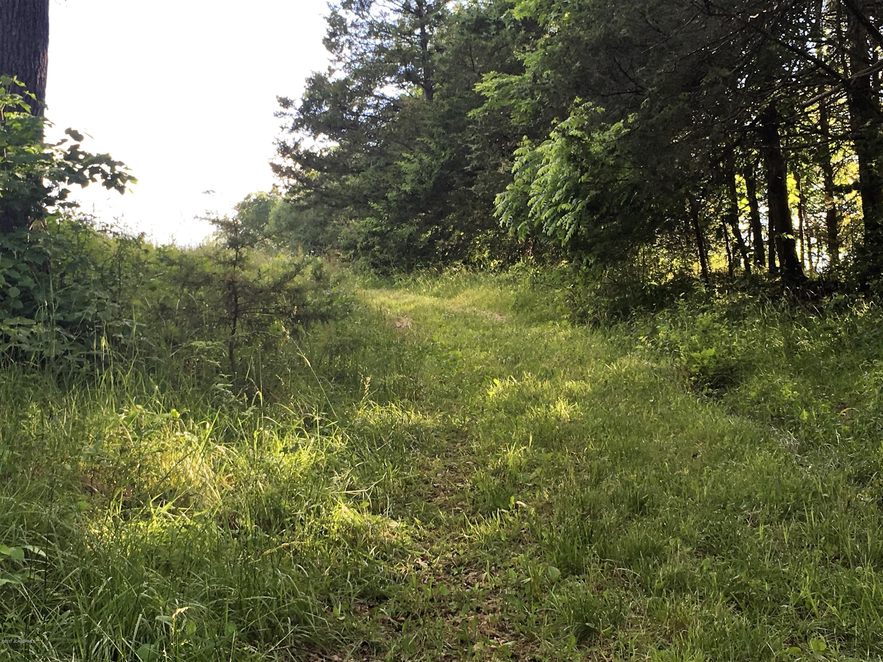 Tbd Coyote Ridge Road Centertown, MO 65023 - Photo 25 of 48