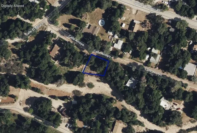 a view of a tree of a yard