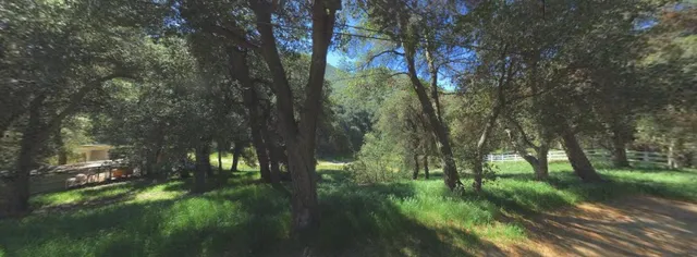 a backyard of a house with lots of green space