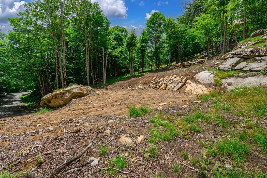 108 Windridge Road Beech Mountain, NC 28604 - Photo 39 of 49