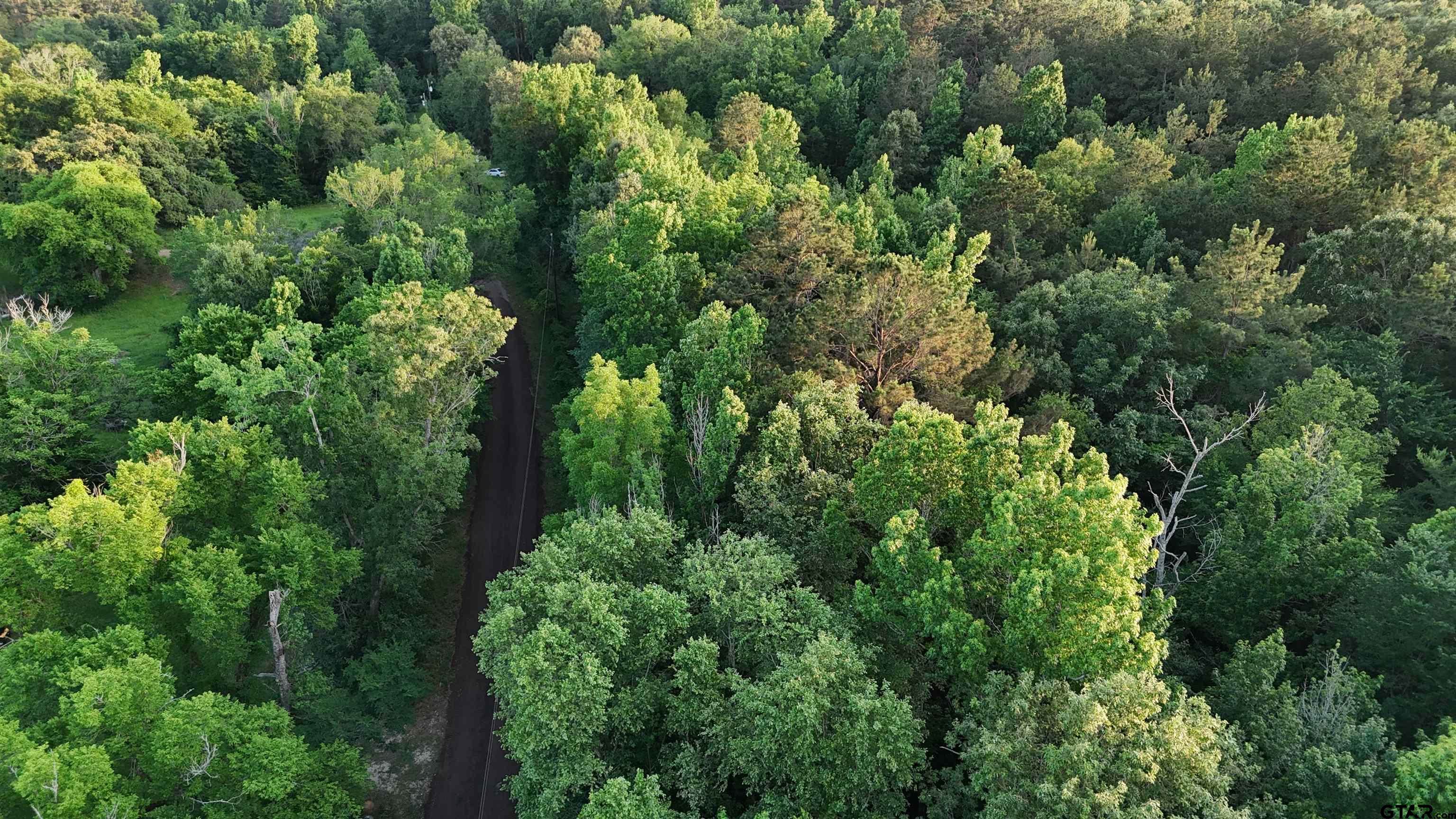 0 County Road 1204 Rusk, TX 75785 - Photo 21 of 32