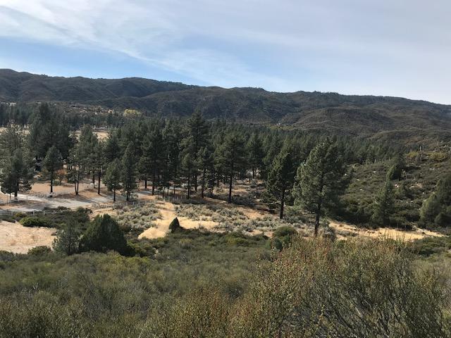1 Butterfly Peak Road Mountain Center, CA 92561 - Photo 1 of 6 Lot 1 C