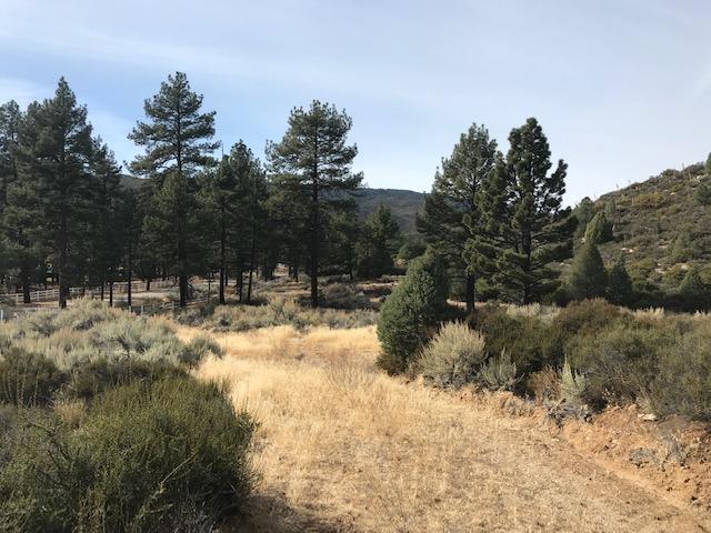 1 Butterfly Peak Road Mountain Center, CA 92561 - Photo 2 of 6 Lot1