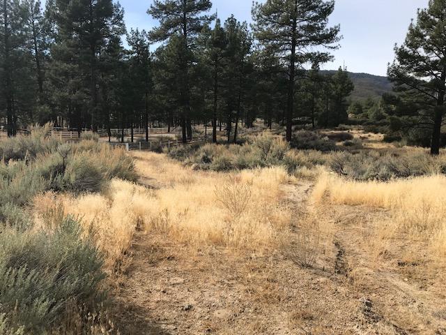 1 Butterfly Peak Road Mountain Center, CA 92561 - Photo 3 of 6 lot 1 B