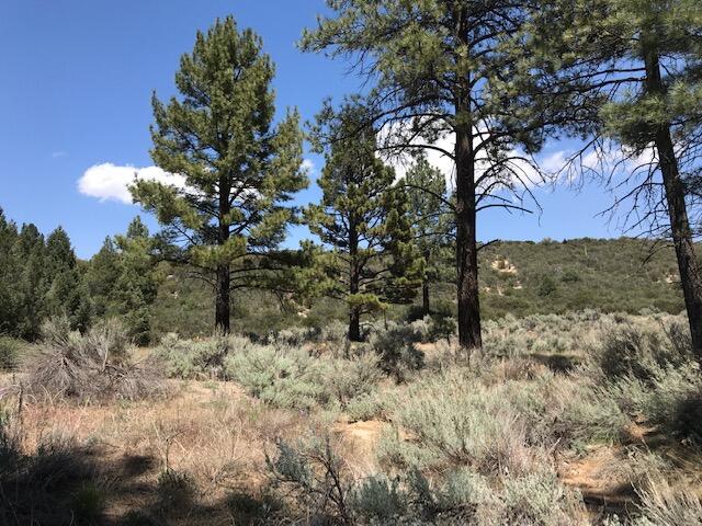 1 Butterfly Peak Road Mountain Center, CA 92561 - Photo 6 of 6 Butterfly Peak lot 3