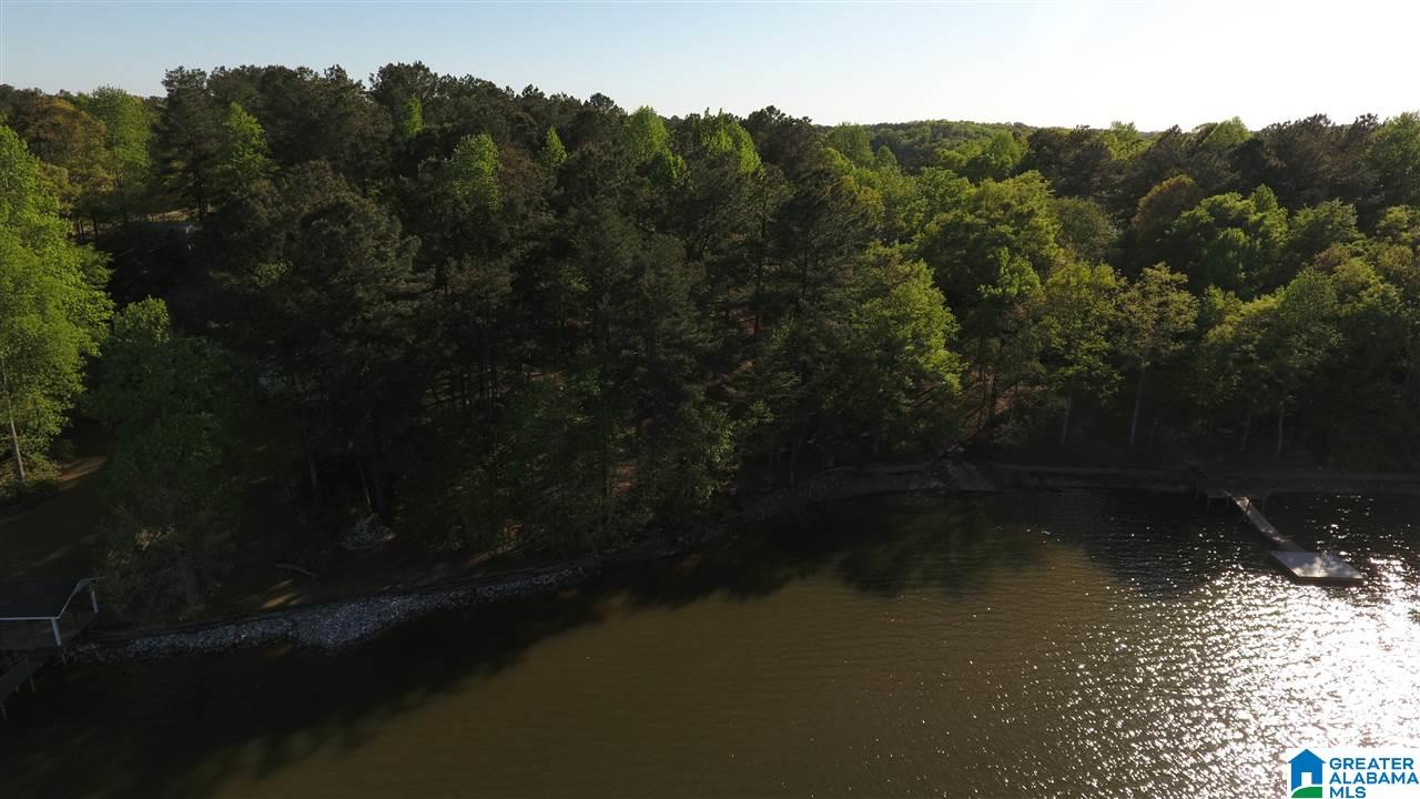 112 River Point Drive Wedowee, AL 36278 - Photo 14 of 15