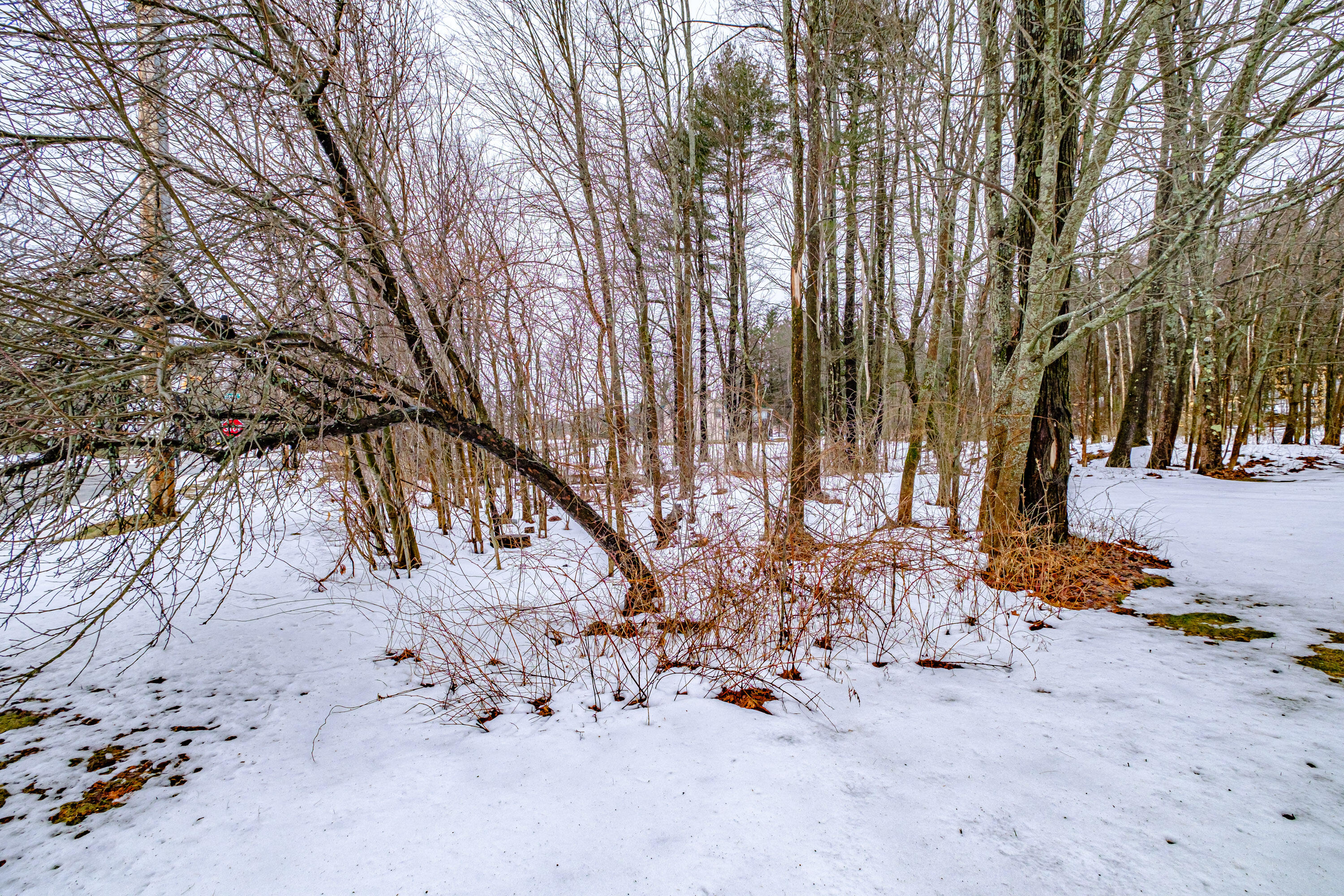 427 East Hardscrabble Road Auburn, ME 04210 - Photo 51 of 53 20240329gp-60057 (1)