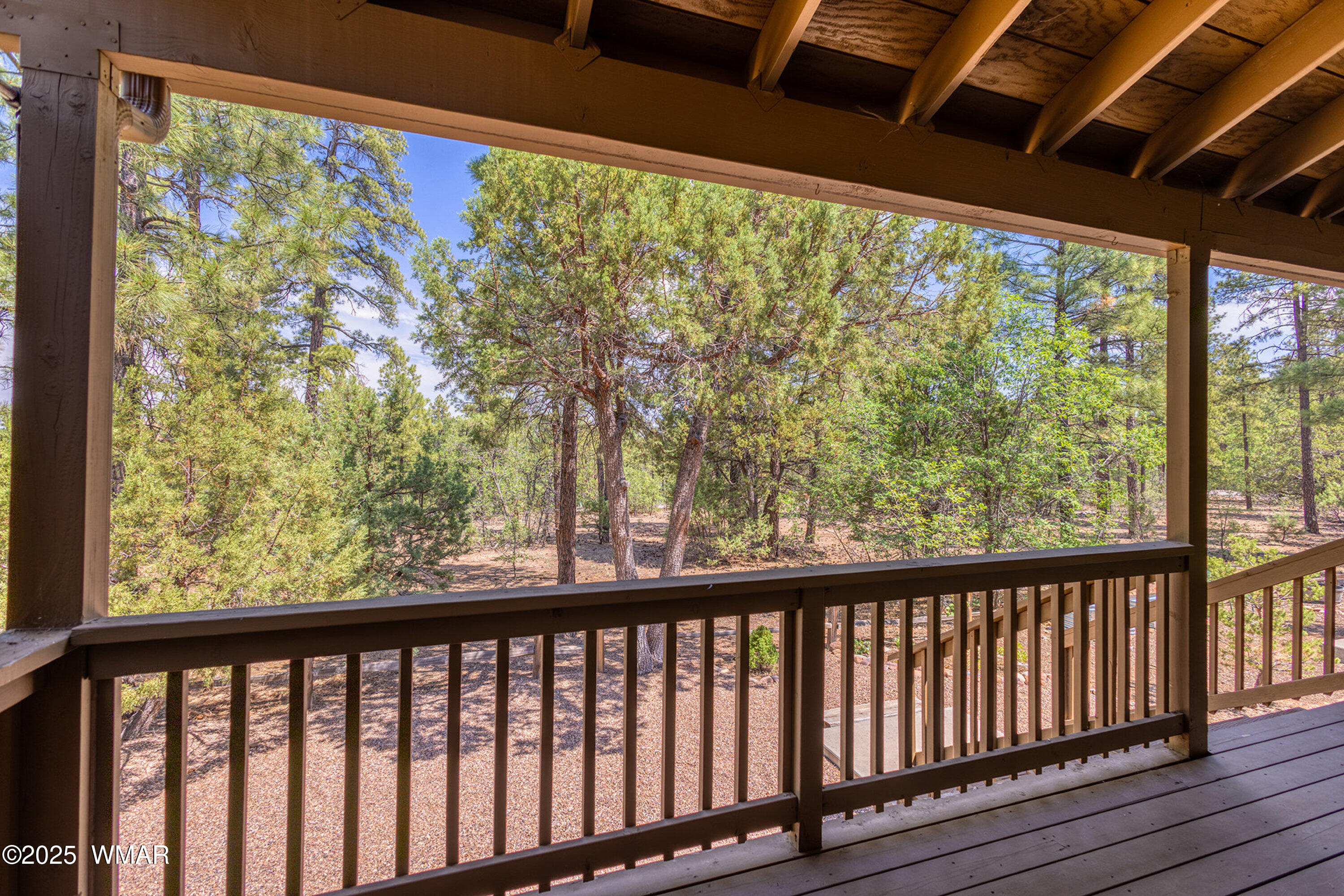 6954 Starlight Ridge Road Lakeside, AZ 85929 - Photo 28 of 37 Beautiful Pines!