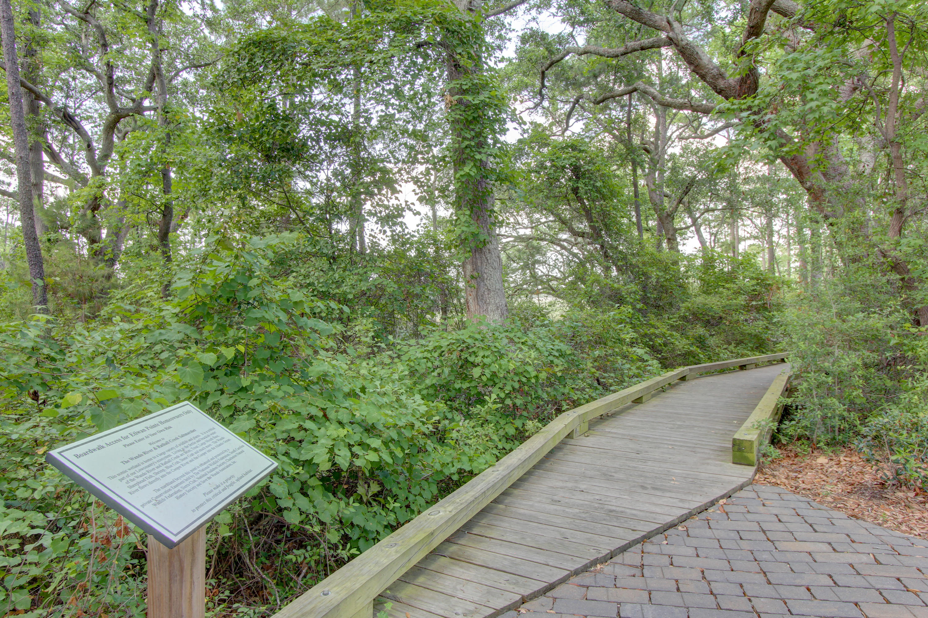 181 Slipper Shell Court Mount Pleasant, SC 29464 - Photo 51 of 61 181SlipperShell-0049