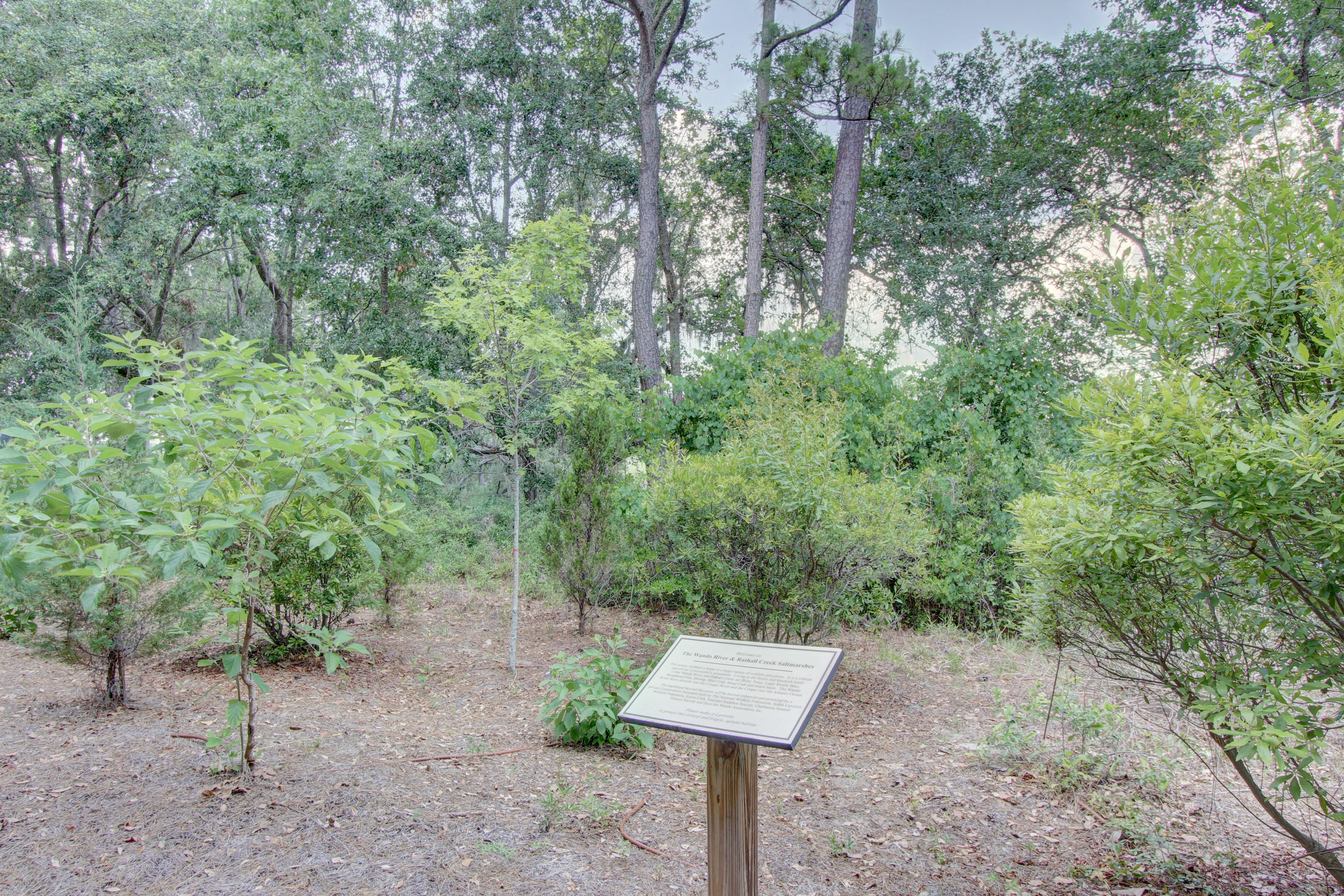 181 Slipper Shell Court Mount Pleasant, SC 29464 - Photo 54 of 61 181SlipperShell-0052