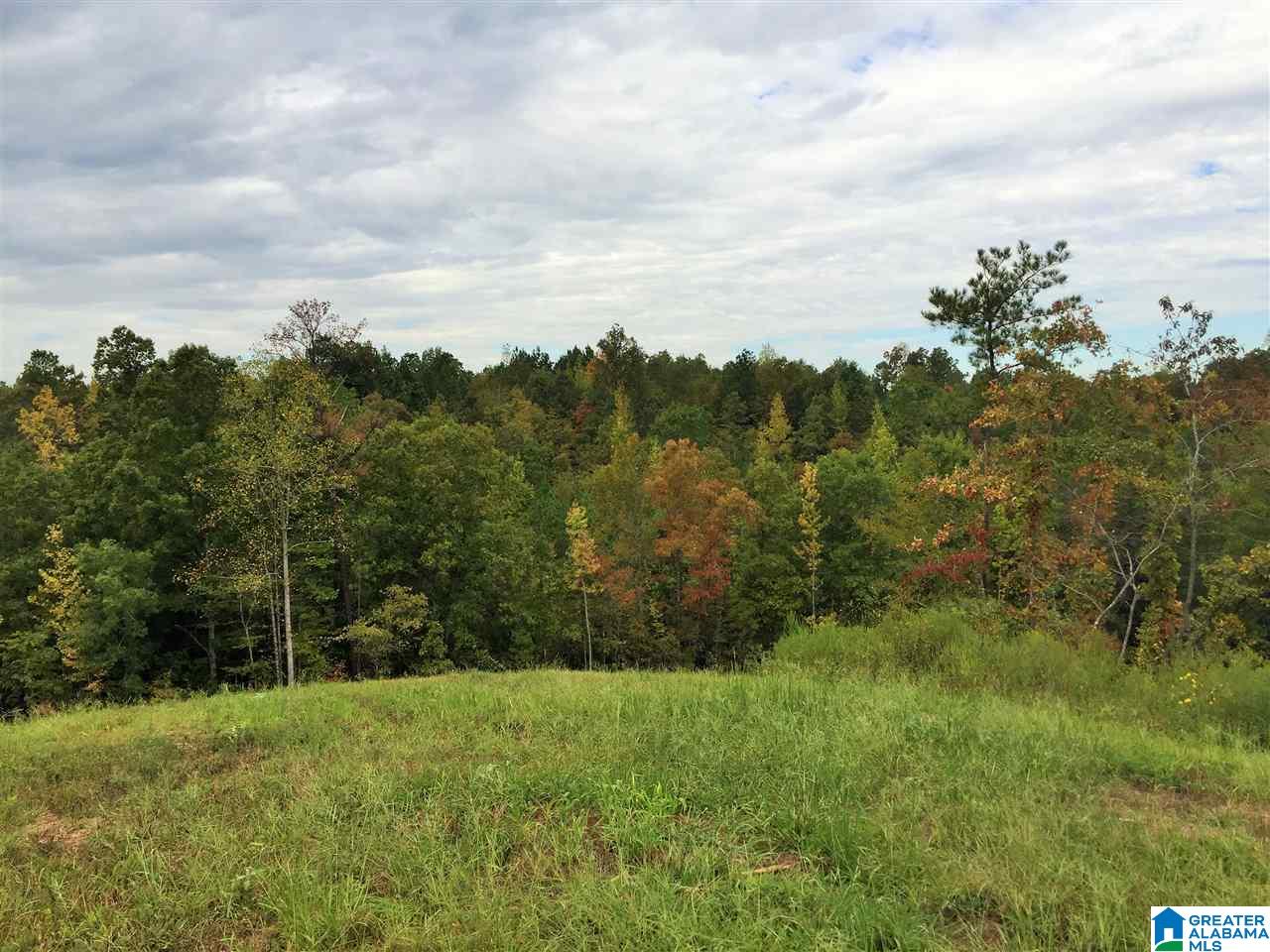 2111 Red Oak Road Helena, AL 35080 - Photo 19 of 34
