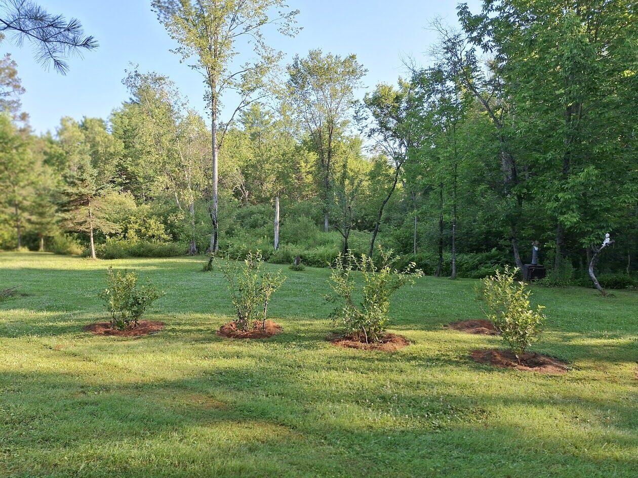 399 Stetson Road West Levant, ME 04456 - Photo 59 of 77 Blackberry
