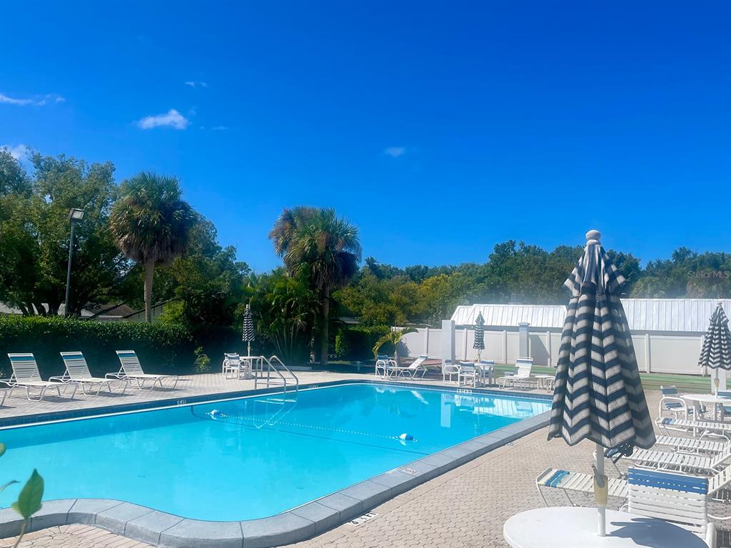 4211 Sheldon Place, Unit 4211 New Port Richey, FL 34652 - Photo 26 of 58 a view of a swimming pool with a patio