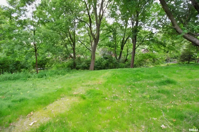 a view of green field with trees in the background