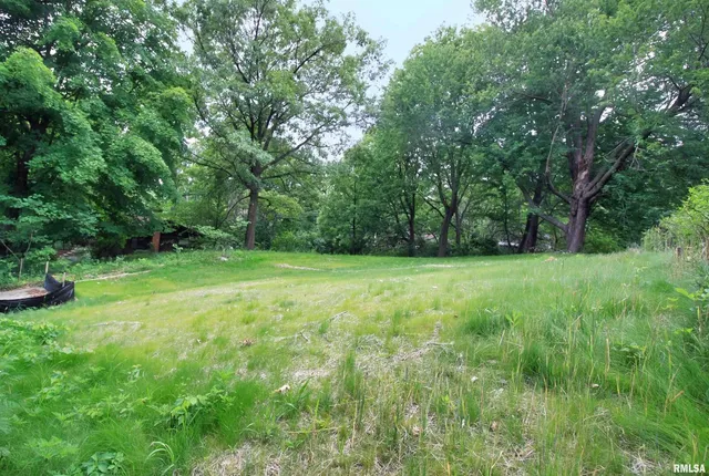 a view of green field with trees in the background