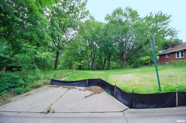 a view of a park with large trees