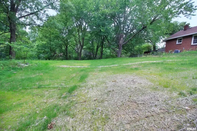 a view of a field of grass and trees