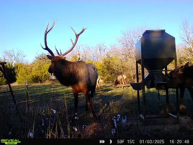 a view of a balcony with potted plants