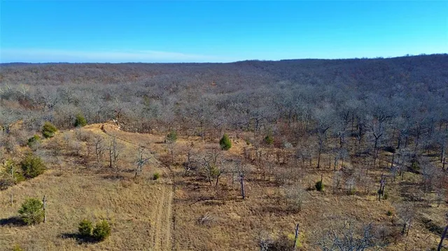 a view of a large mountains with green field