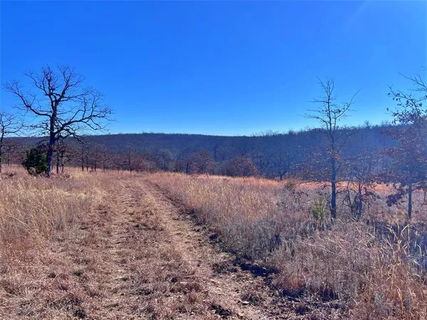 a view of a dry yard