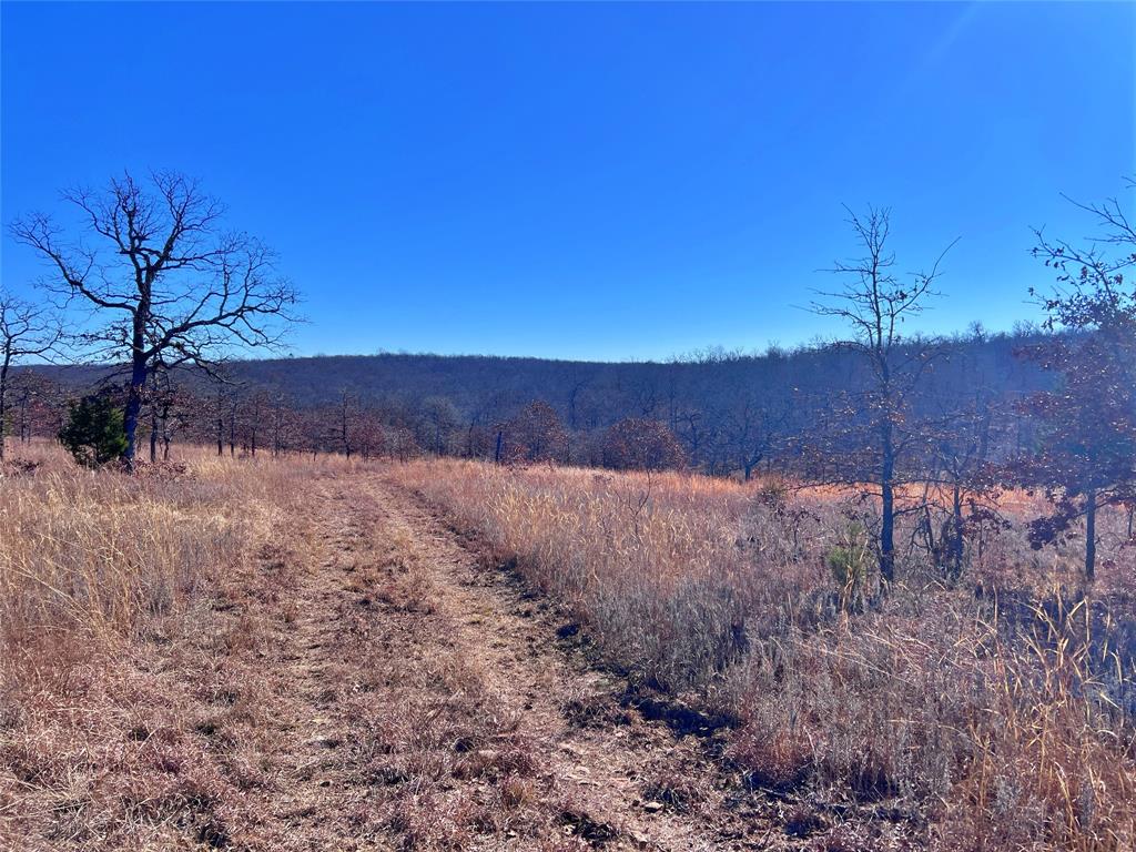 0 N3840 Road Coalgate, OK 74538 - Photo 16 of 40 a view of a backyard