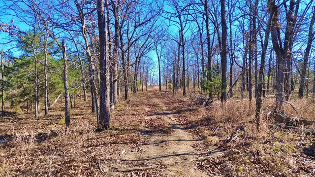 a view of a backyard with furniture