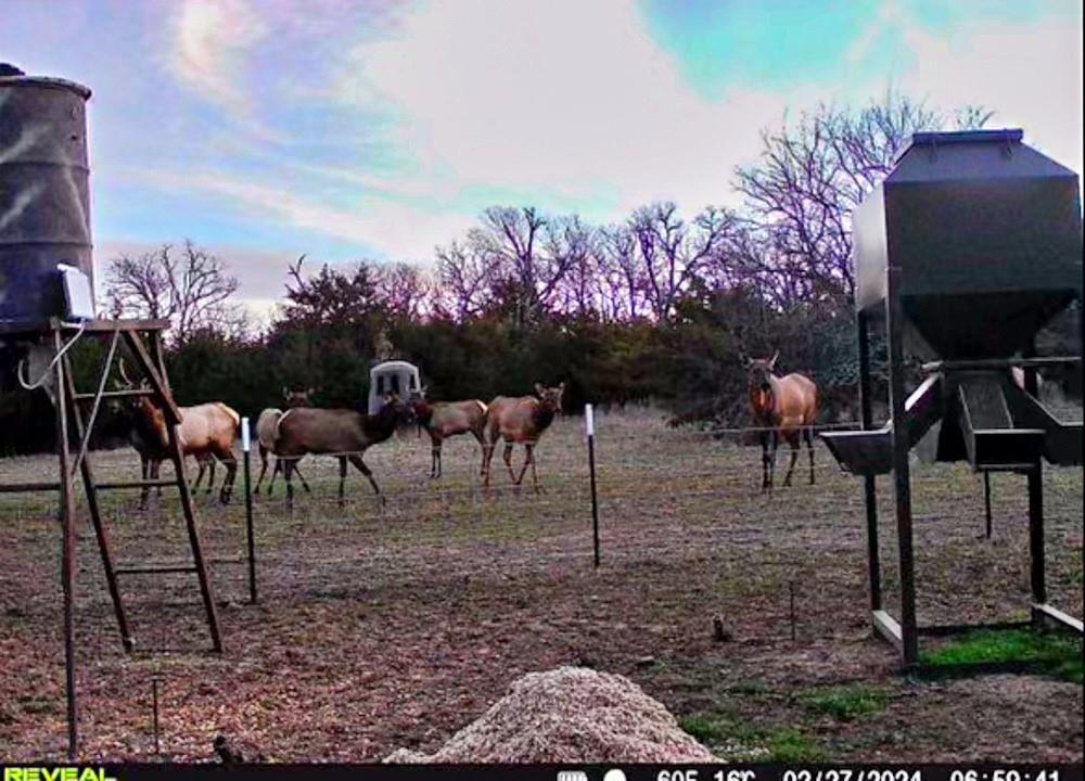 0 N3840 Road Coalgate, OK 74538 - Photo 20 of 35 a view of a yard and patio