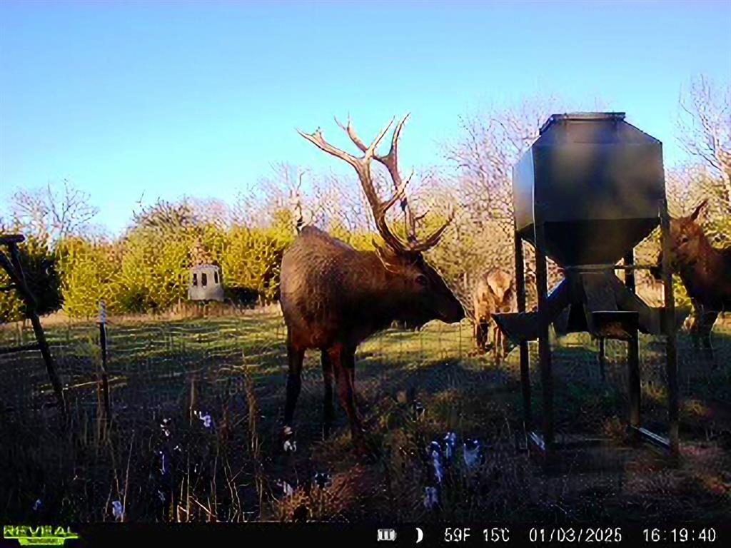0 N3840 Road Coalgate, OK 74538 - Photo 2 of 35 a view of a backyard