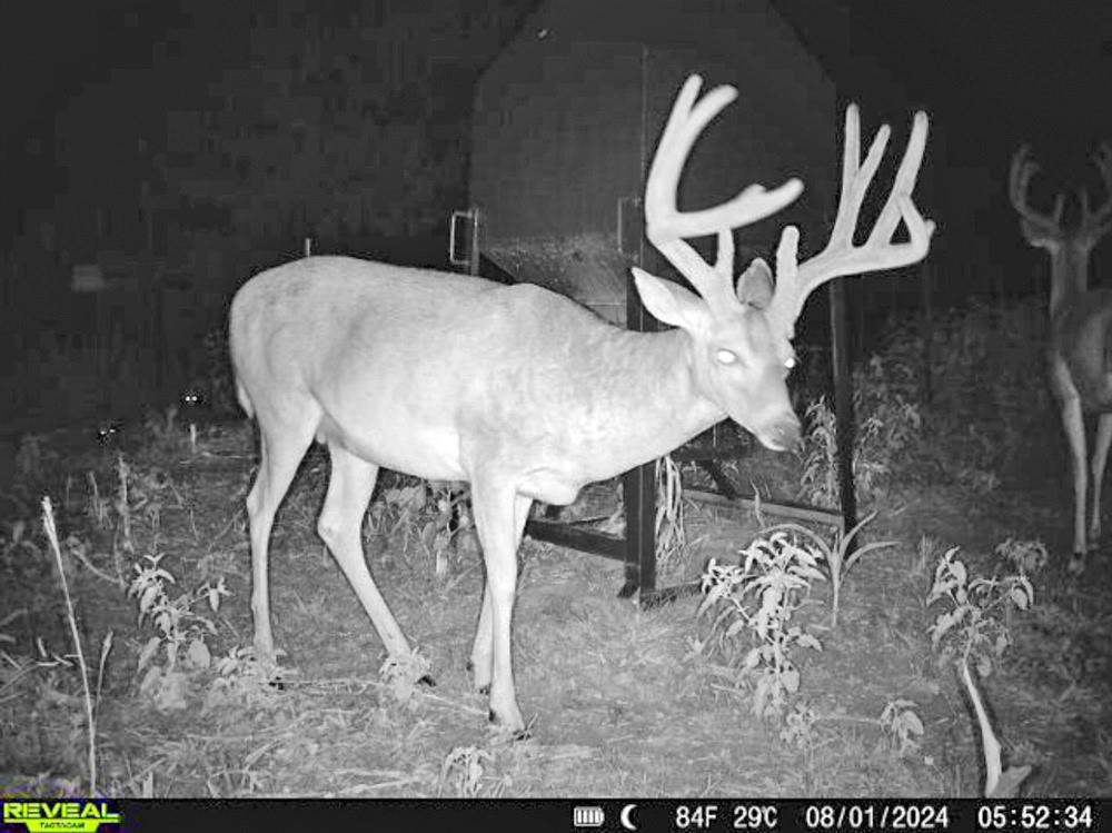 0 N3840 Road Coalgate, OK 74538 - Photo 21 of 35 a view of a backyard with furniture