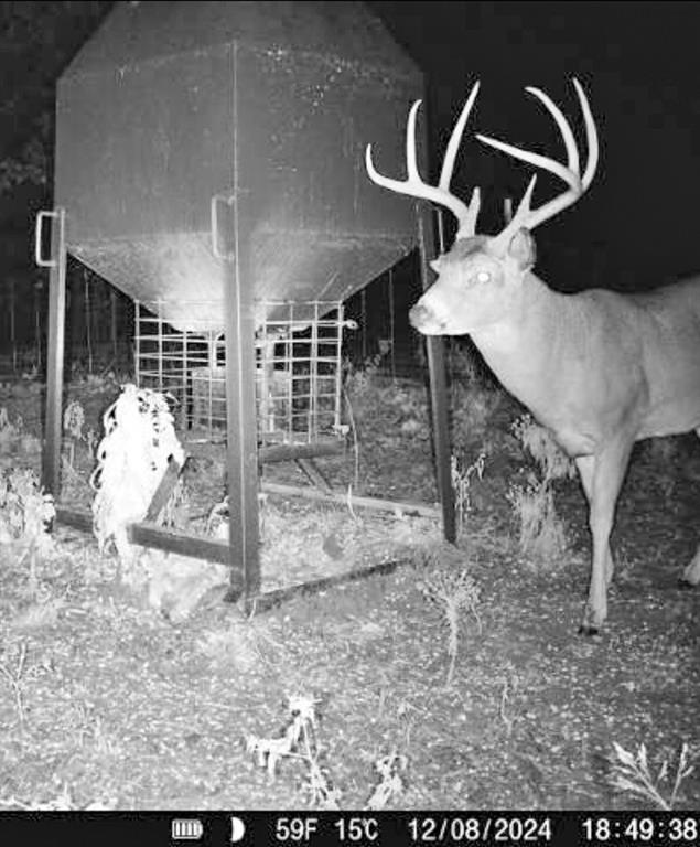 0 N3840 Road Coalgate, OK 74538 - Photo 22 of 35 a view of entryway