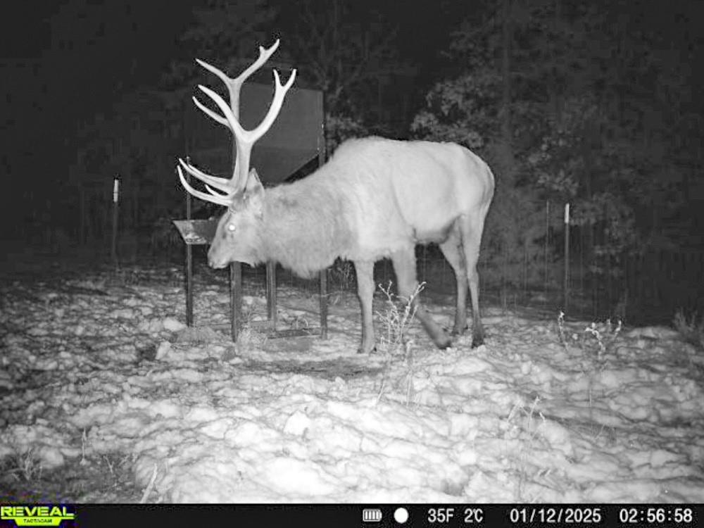 0 N3840 Road Coalgate, OK 74538 - Photo 23 of 35 a view of a backyard with table and chairs