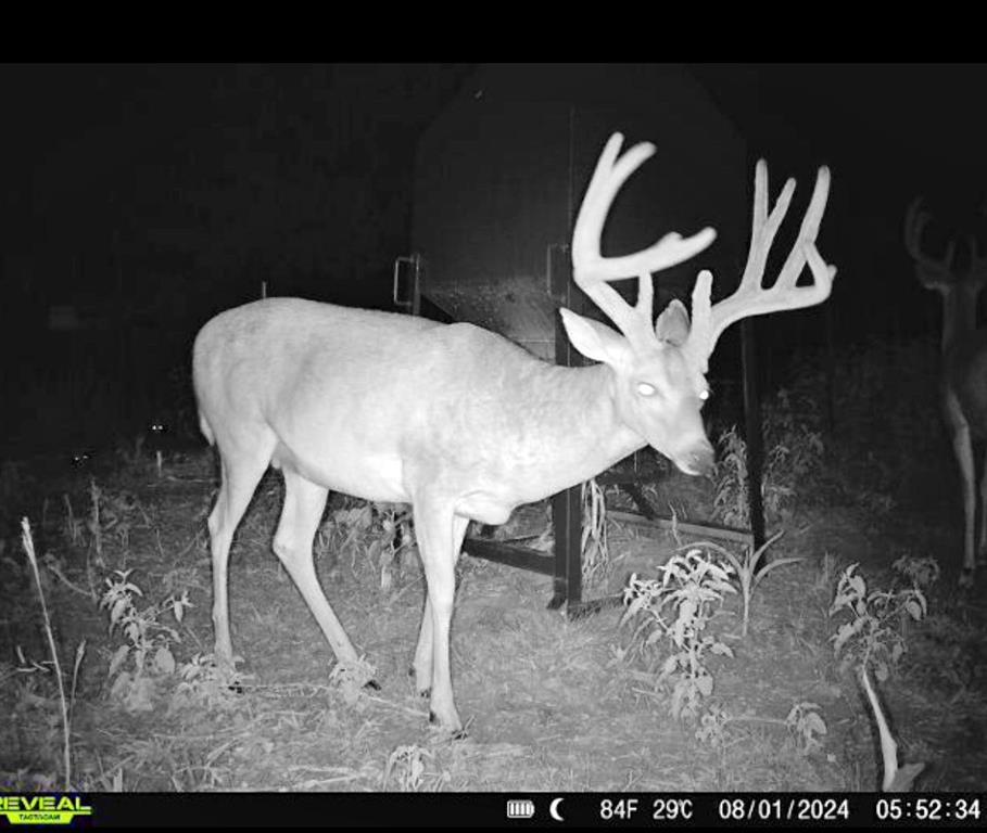 0 N3840 Road Coalgate, OK 74538 - Photo 26 of 35 a view of a dining room with furniture