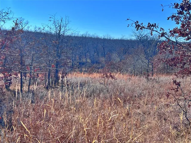 a view of backyard with green space