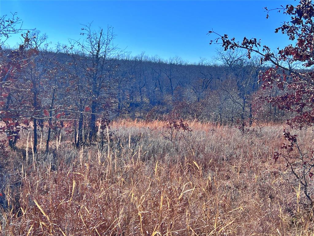 0 N3840 Road Coalgate, OK 74538 - Photo 28 of 35 a view of a dry yard